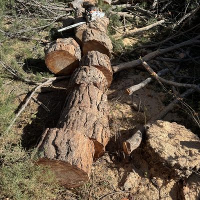 48220B3B-B5B2-4B5D-98A6-2BF310032C92