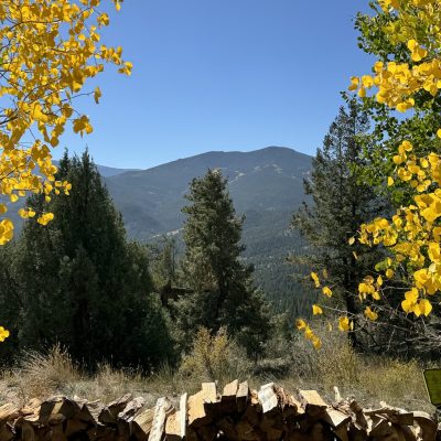 4BBDE8A3-1AF9-42CA-8CAC-8D46DB02EE9F (1)